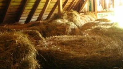 Сеновал снизу солома