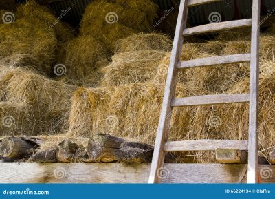 Сено в сарае