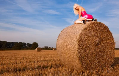 Скирда сноп