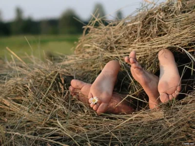 Деревенский сеновал