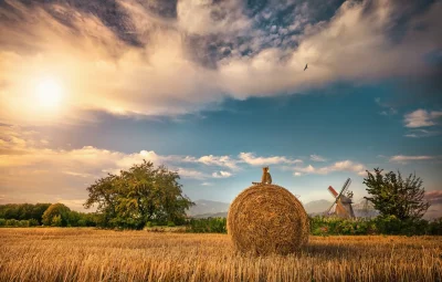Поля подсолнухов Италии стога сена