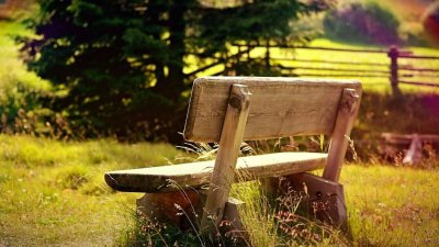 Скамейка в саду