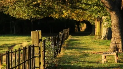 Парк лавочка Англия