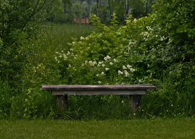 Пруд Тимонино лавочки