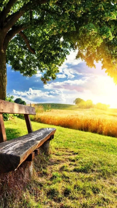 Лавочка на природе