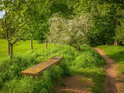 Битцевский парк лавочки