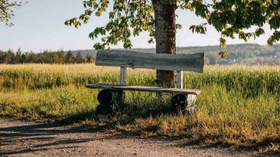 Битцевский парк лавочки