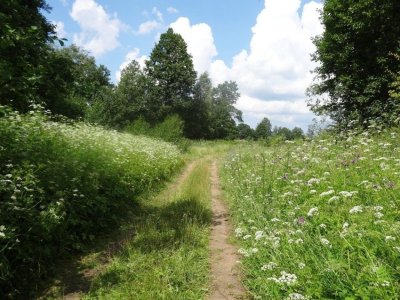 Тропинка в деревне