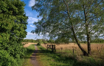 Деревенские тропинки Марий Эл