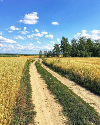 Деревенская природа