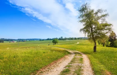 Дорога в поле