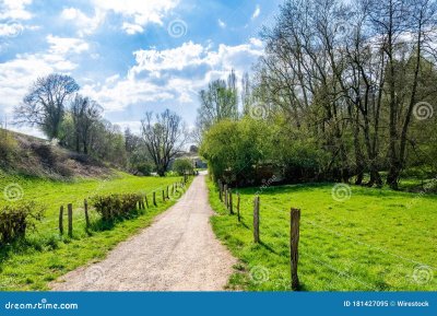 Фон времена года