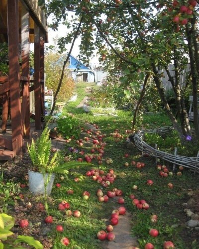 Август на даче