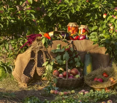 Осенний огород