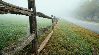 Старый деревянный забор