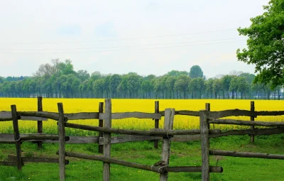 Околица-изгородь вокруг деревни