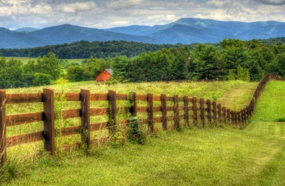 Жидарский забор травяной