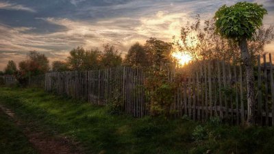 Деревенская природа