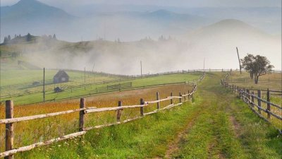 Забор в поле