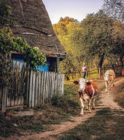 Casa parinteasca Калараш