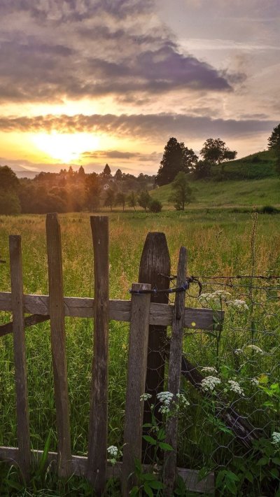 Деревенские виды