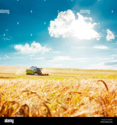 Комбайн в поле