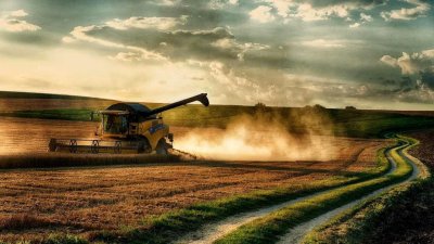 Комбайн Нива в поле