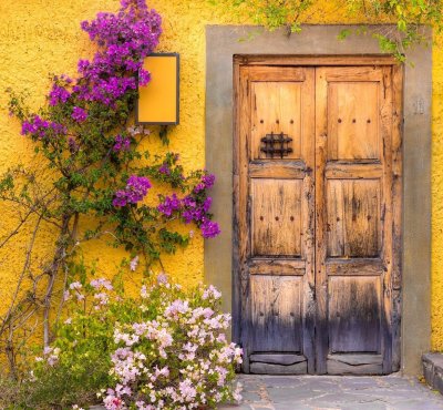 Жёлтый дверь из сада