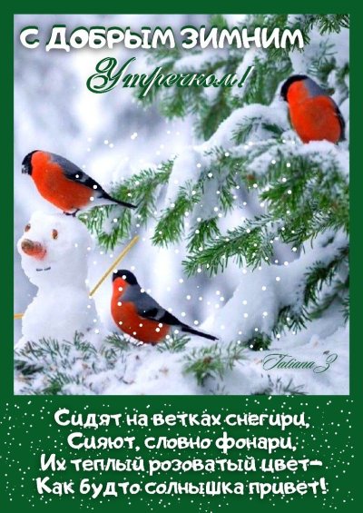 Зимние птицы