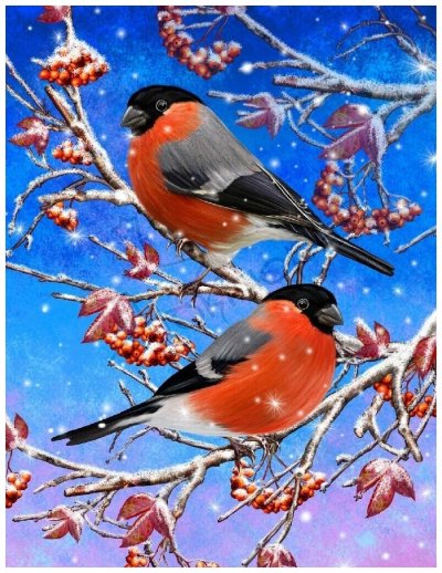 Снегирь красками