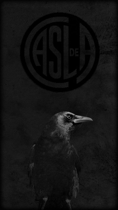 Черный ворон на черном фоне