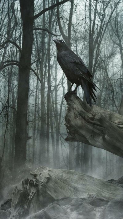 Мистические вороны