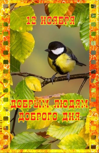 Синица осенью