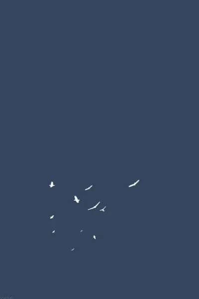 Летающие птицы Минимализм