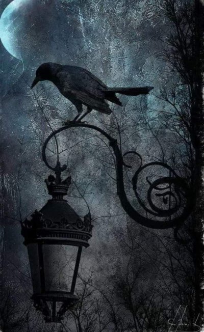 Готический ворон