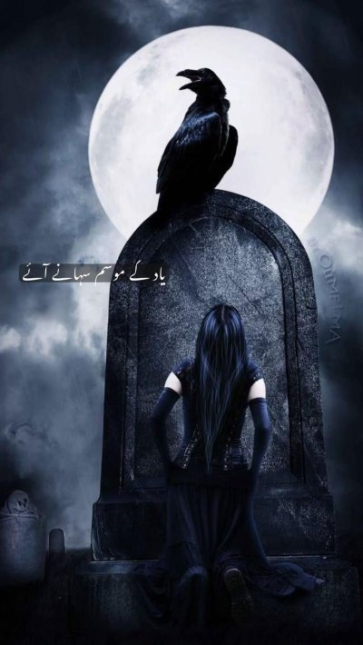 Ворон на кладбище