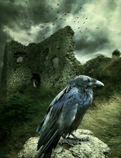 Ворон арт