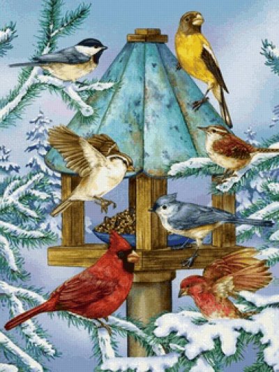 Зимние птицы