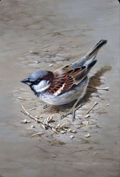 Художник Terance James Bond