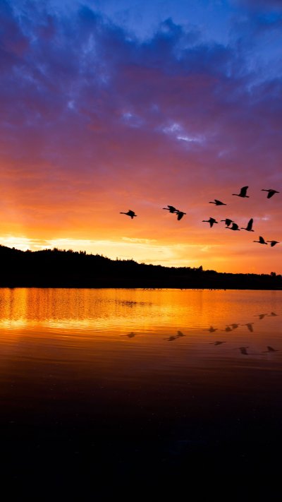 Картинки на айфон