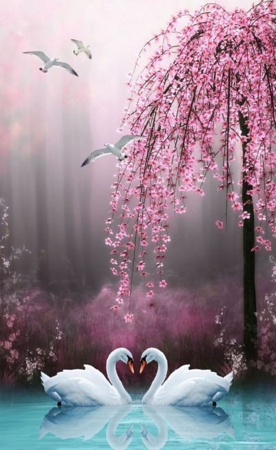 Птицы на Сакуре