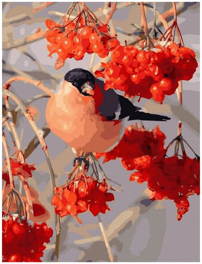 Снегирь и Калина