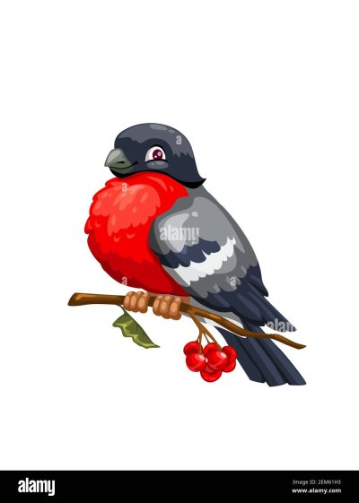 Снегирь на белом фоне