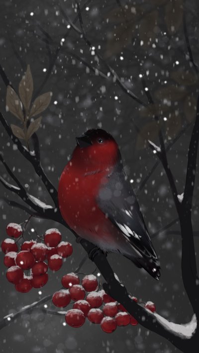 Скетчинг Снегирь