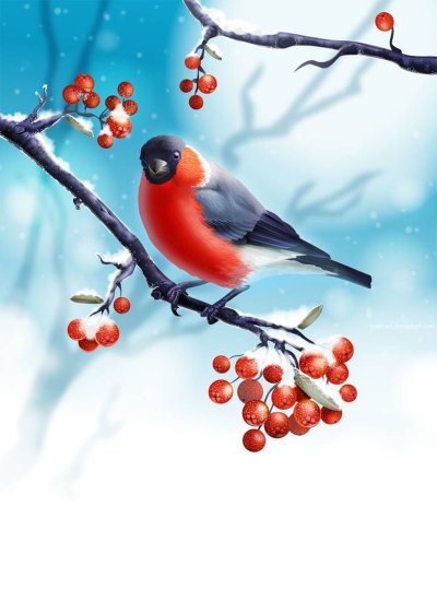 «Снегири на ветке» Комарова, 41