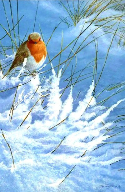 Птички на снегу