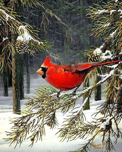 Зимние птицы