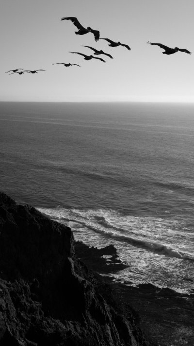 Море черно белое