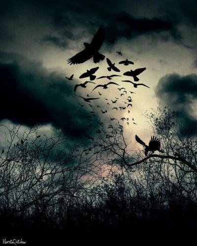 Готические птицы