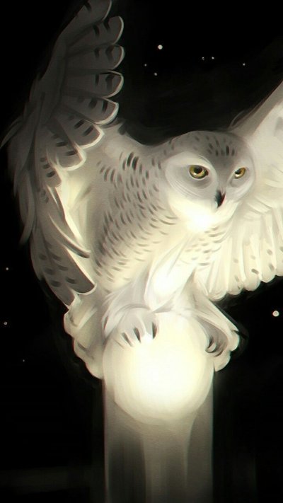 Сова Полярная белая